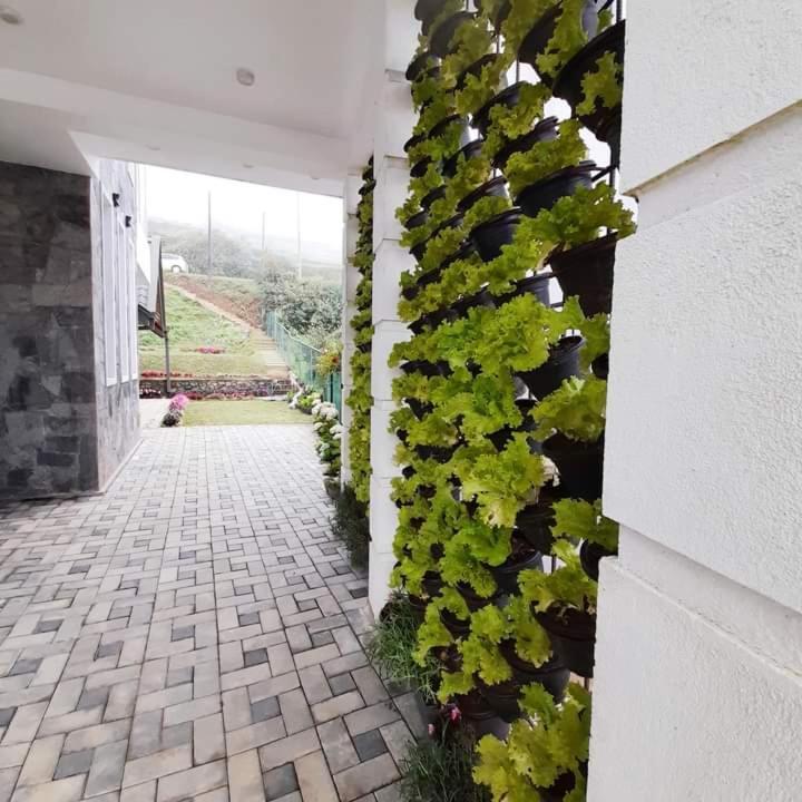 Pensive Villa Nuwara Eliya Kültér fotó